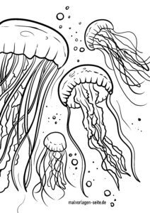 Malvorlage Quallen