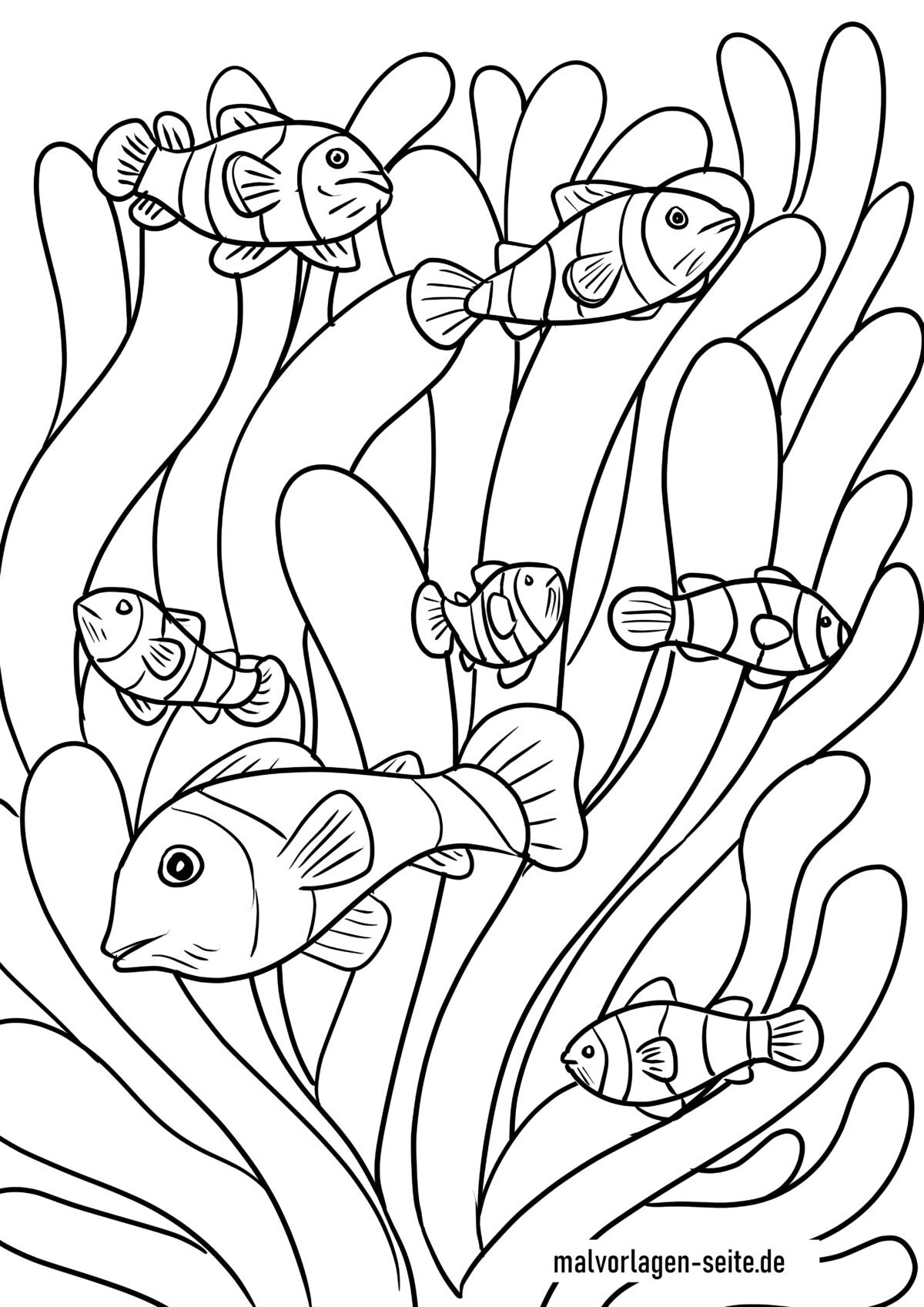 Malvorlage Seeanemonen und Fische