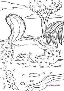 Malvorlage Skunk