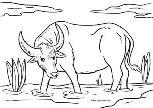 Malvorlage Wasserbüffel