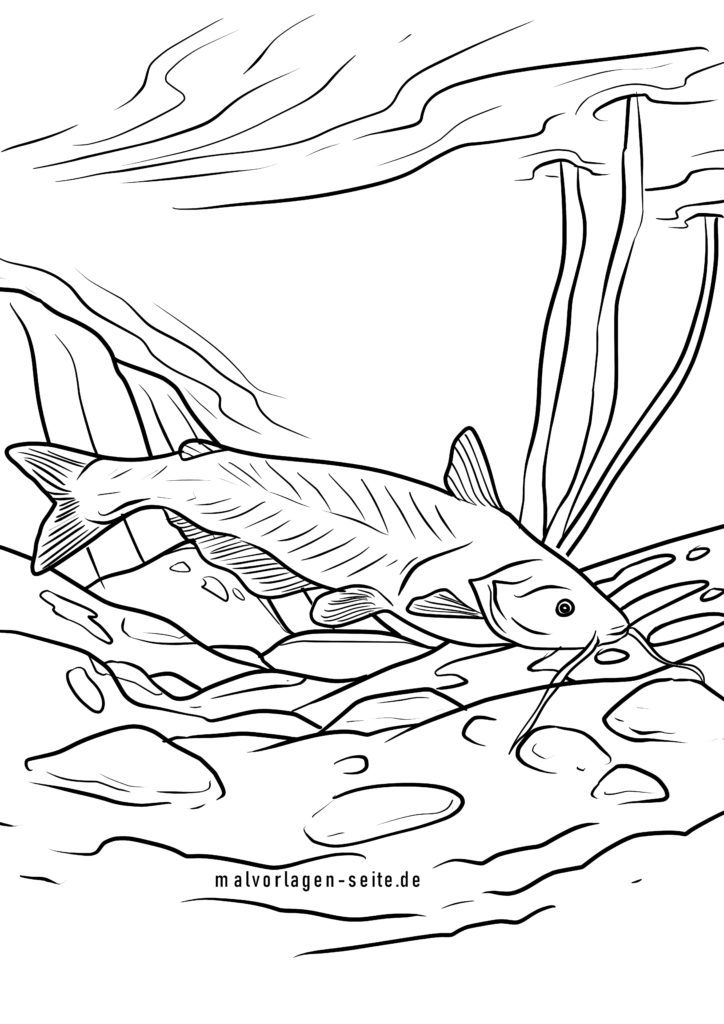 Ausmalbilder Fische Kostenlose Malvorlagen gratis
