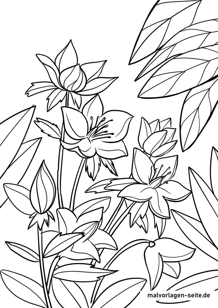 Ausmalbilder Pflanzen Kostenlose Ausmalbilder Ausmalbilder Pflanzen Kostenlose Ausmalbilder