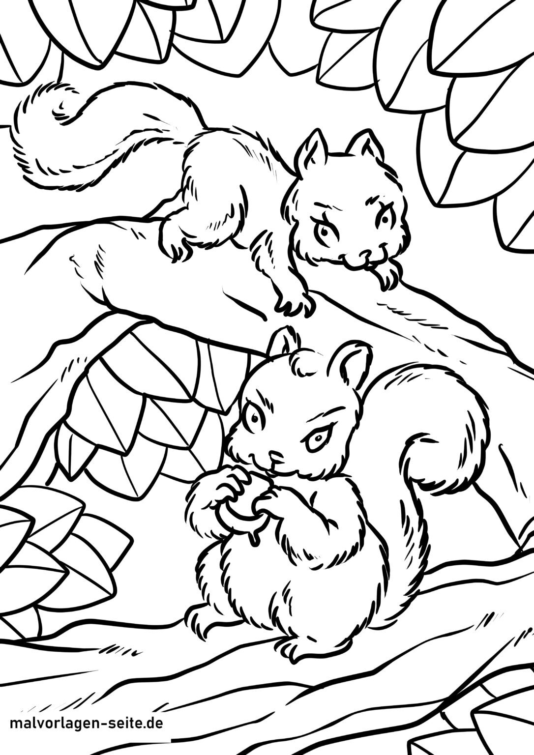  Tolle Ausmalbilder Eichhörnchen kostenlos herunterladen Motiv 