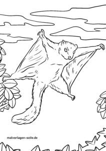 Malvorlage Flughörnchen
