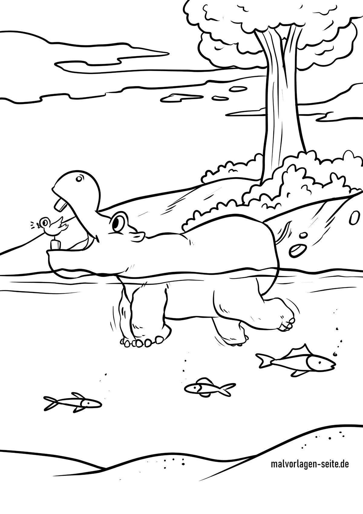 Malvorlage Flusspferd