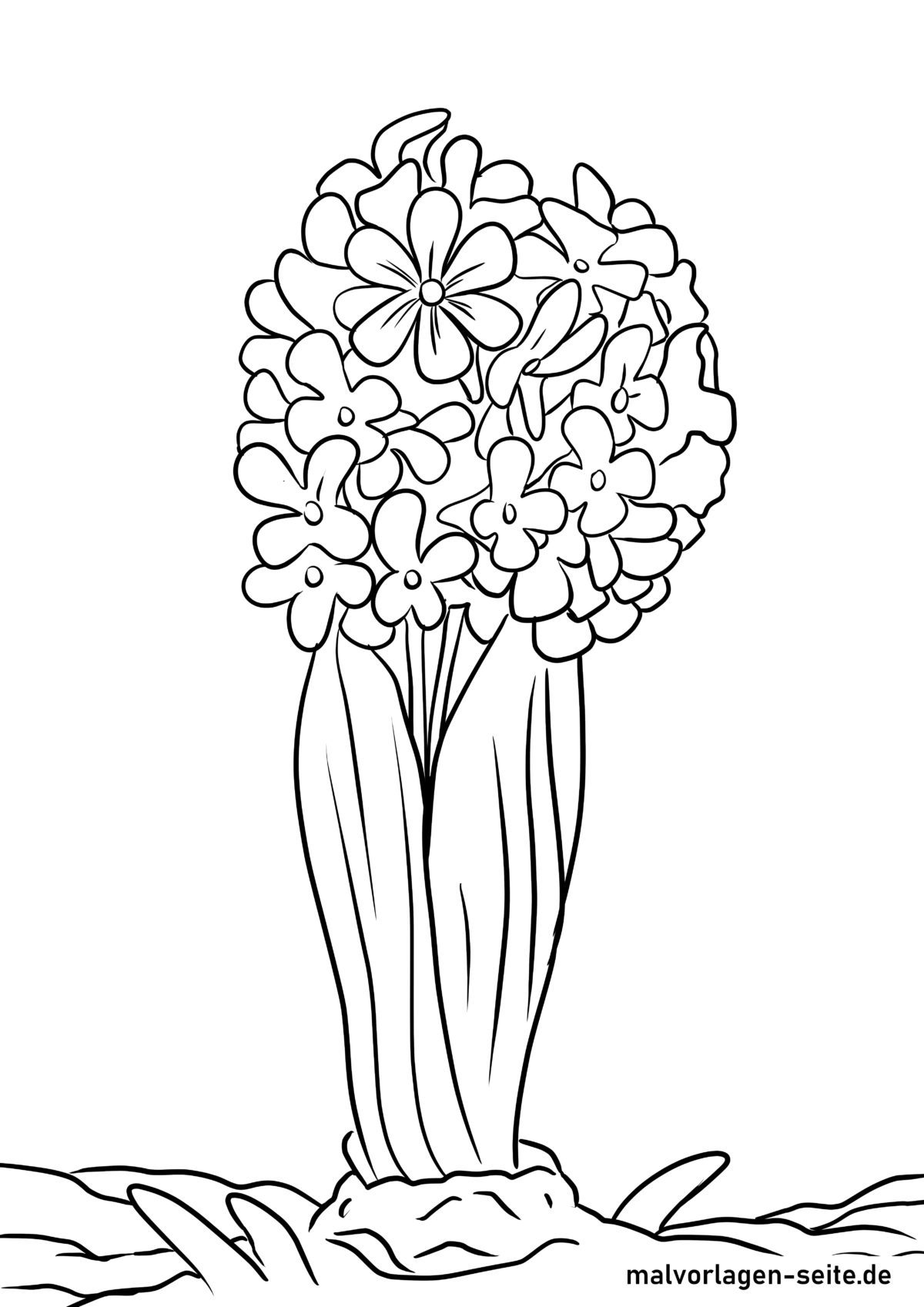 Malvorlage Hyazinthe
