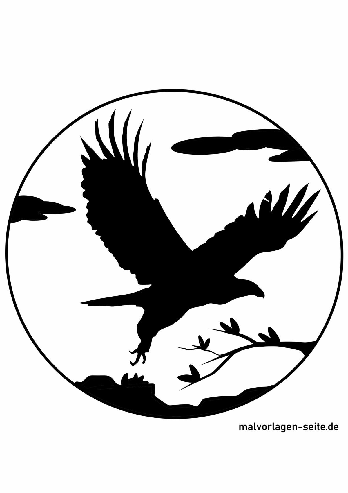 Silhouette Greifvogel