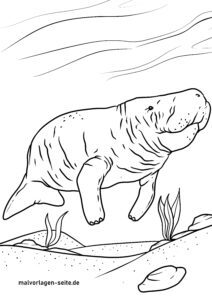 Malvorlage Seekuh