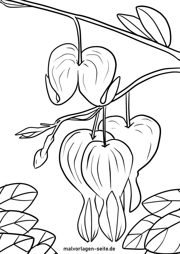 Ausmalbilder Pflanzen Kostenlose Ausmalbilder