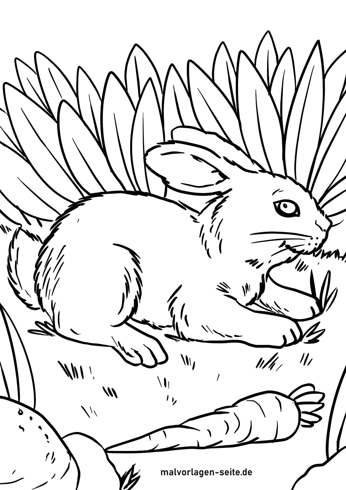 Malvorlage Hase