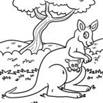 Malvorlage Känguru