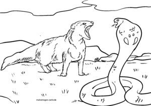 Malvorlage Mungo und Kobra
