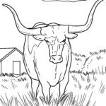 Malvorlage Texas Longhorn Rind