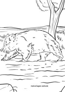 Malvorlage Wombat