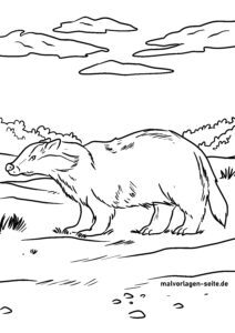 Malvorlage Dachs