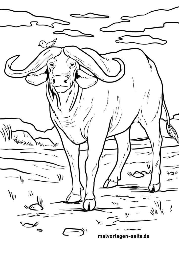Ausmalbilder Büffel und Bisons kostenlos herunterladen und