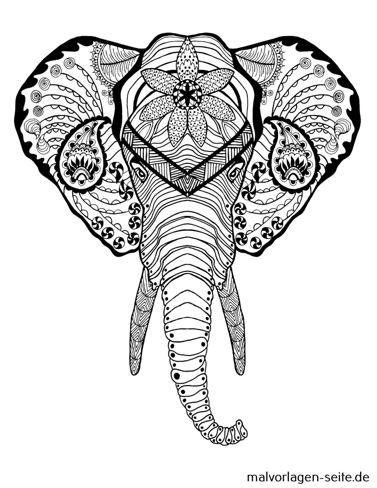 Mandala für Erwachsene | Ausmalbild kostenlos herunterladen