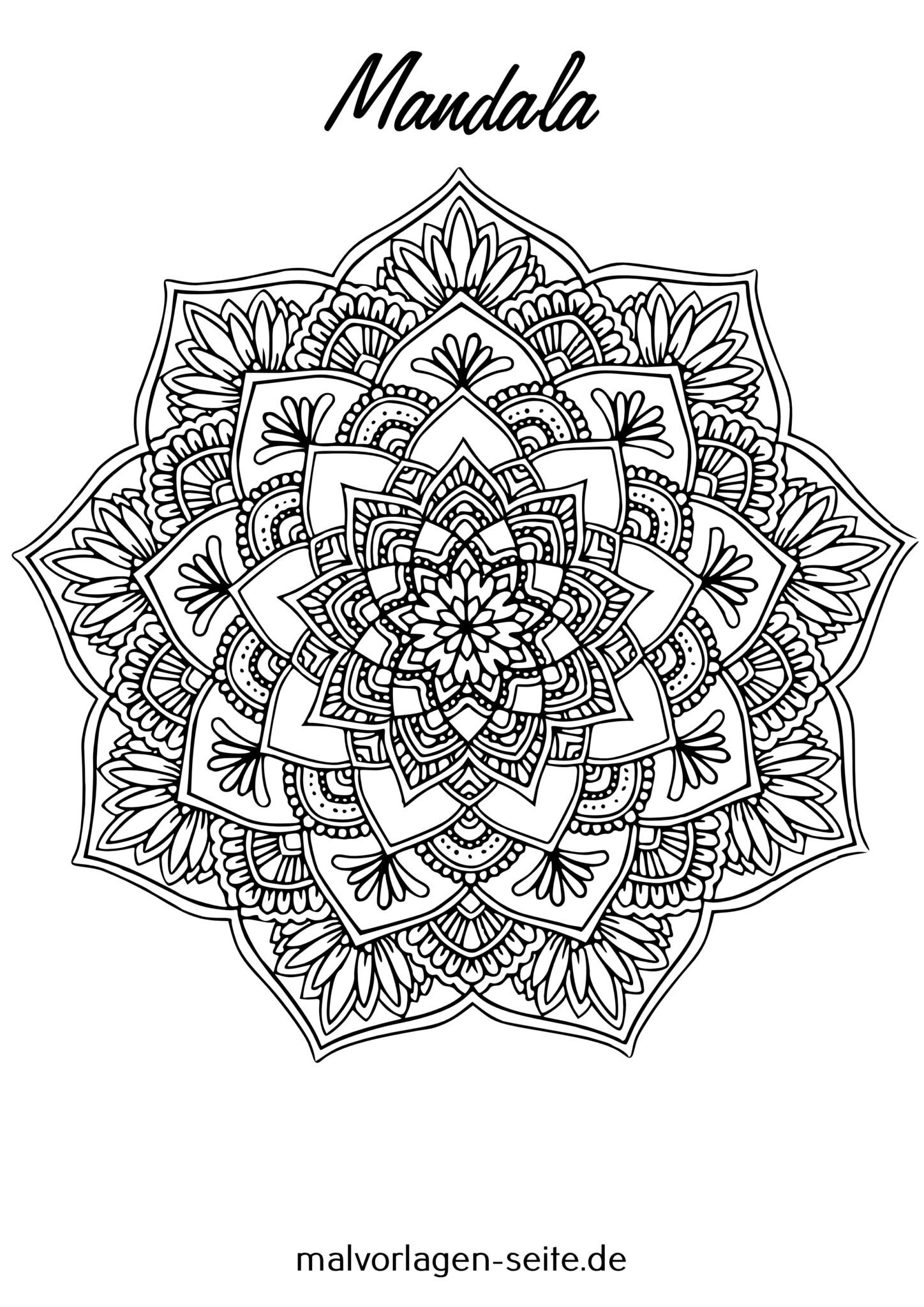  Mandala für Erwachsene - Ausmalbild kostenlos herunterladen 