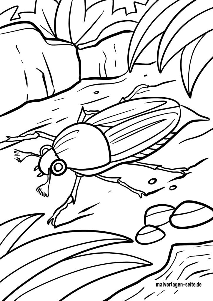  Ausmalbilder Käfer - Insekten - Ausmalbild kostenlos herunterladen Illustration 