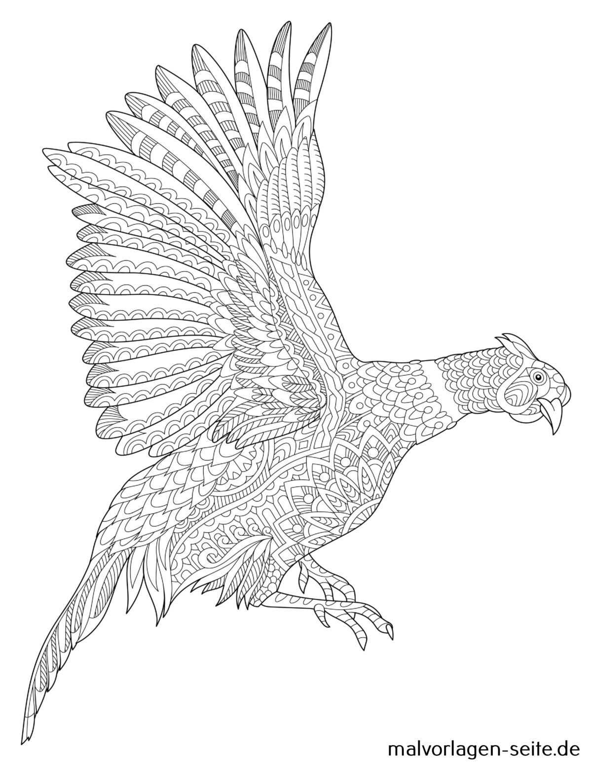 Mandala Vogel