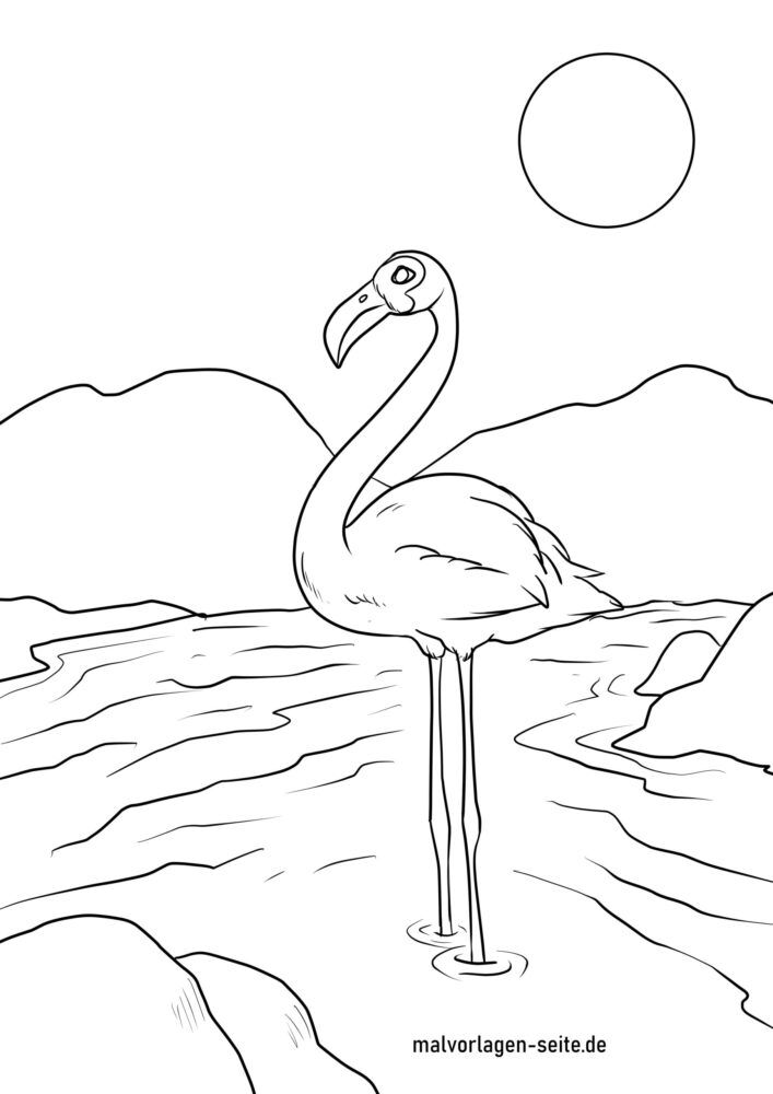 ぬりえページフラミンゴ 鳥 無料ぬりえページ