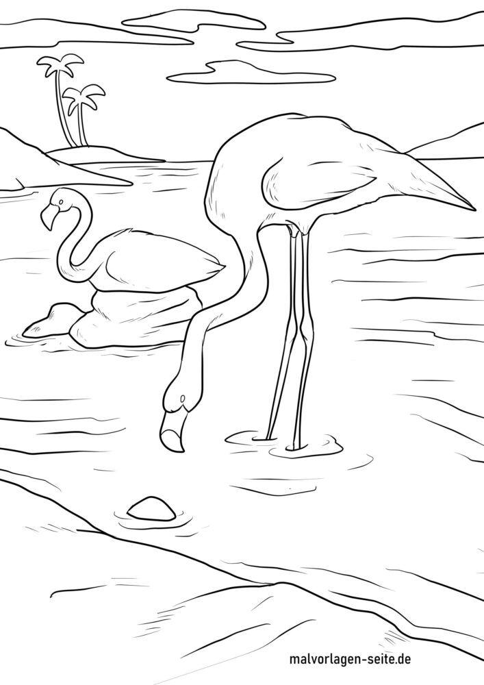 Malvorlage Flamingos