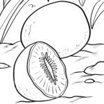 Malvorlage Kiwi Frucht