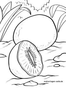 Malvorlage Kiwi Frucht