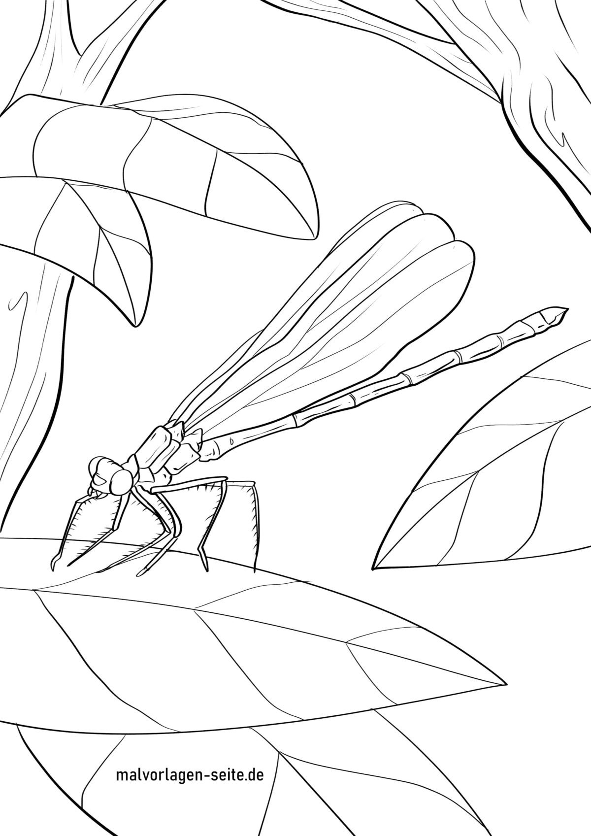Malvorlage Libelle