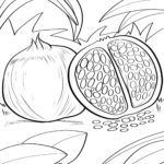 Malvorlage Granatapfel