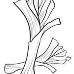 Malvorlage Lauch Gemüse Malvorlage Lauch