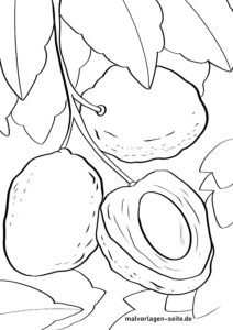 Malvorlage Litschi