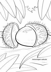 Malvorlage Rambutan