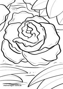 Malvorlage Kopfsalat