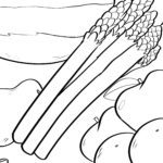 Malvorlage Spargel