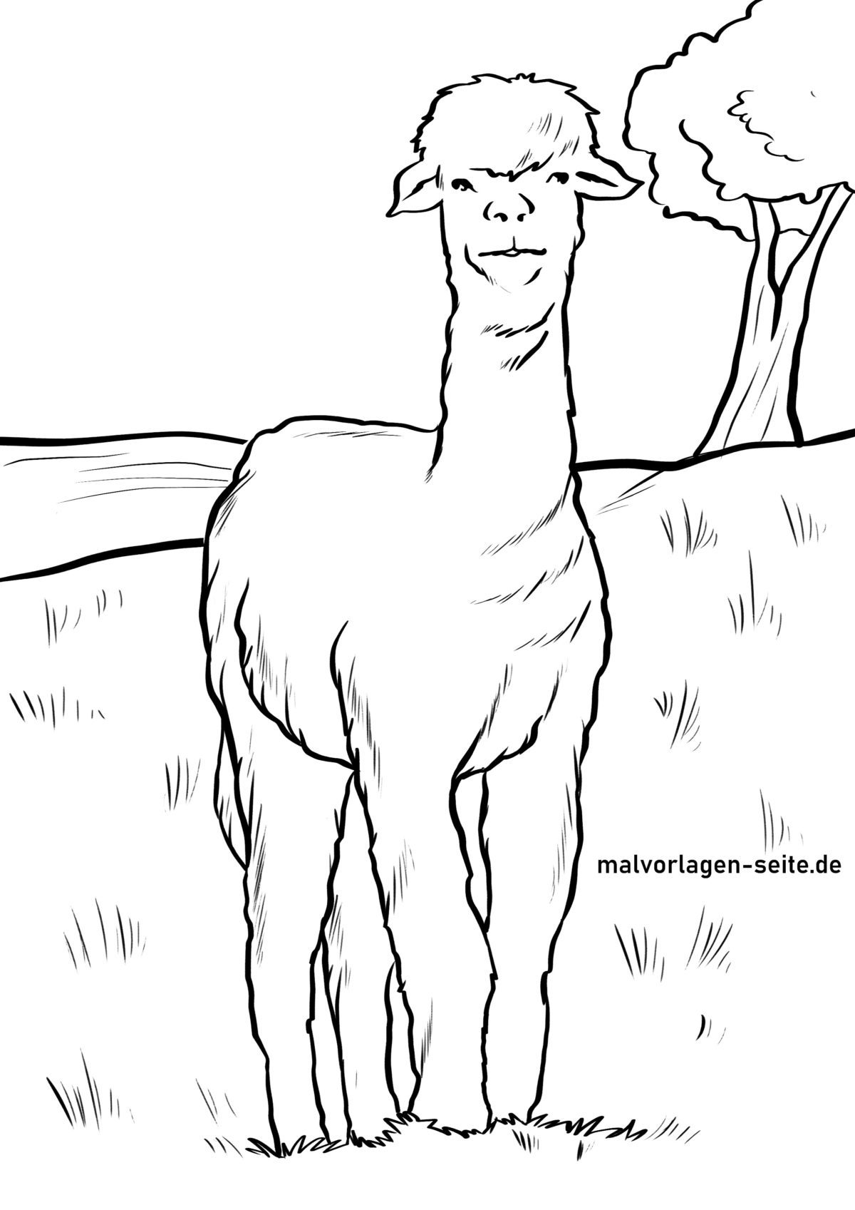 Malvorlage Alpaka