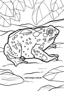 Malvorlage Kröte