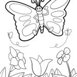 Malvorlage Schmetterling