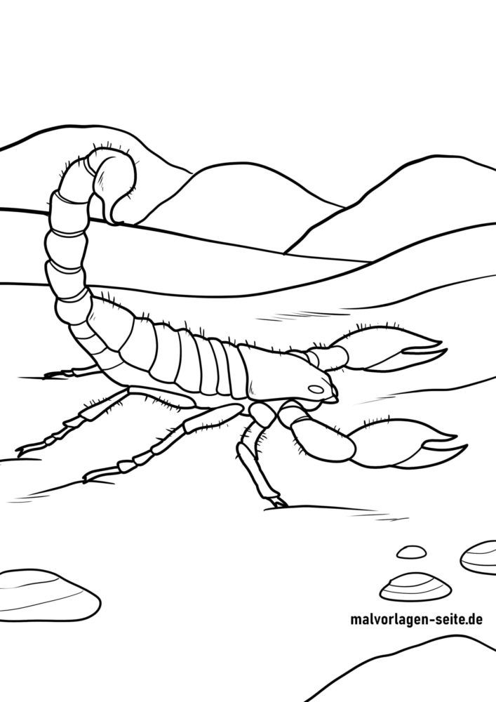 Malvorlage Skorpion