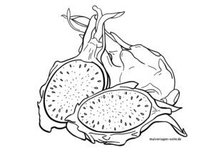 Malvorlage Drachenfrucht