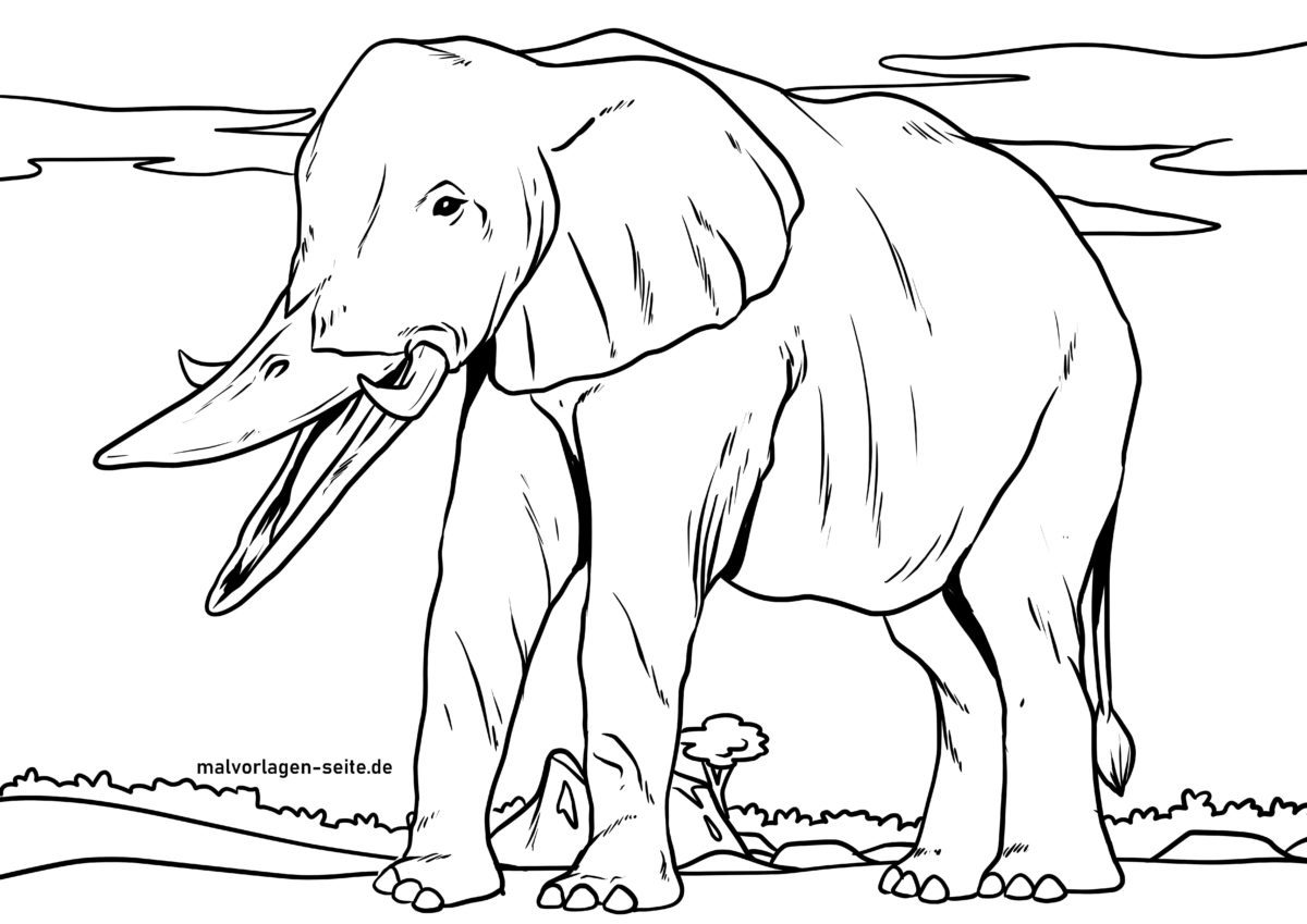Gemischte Tiere - Ente und Elefant