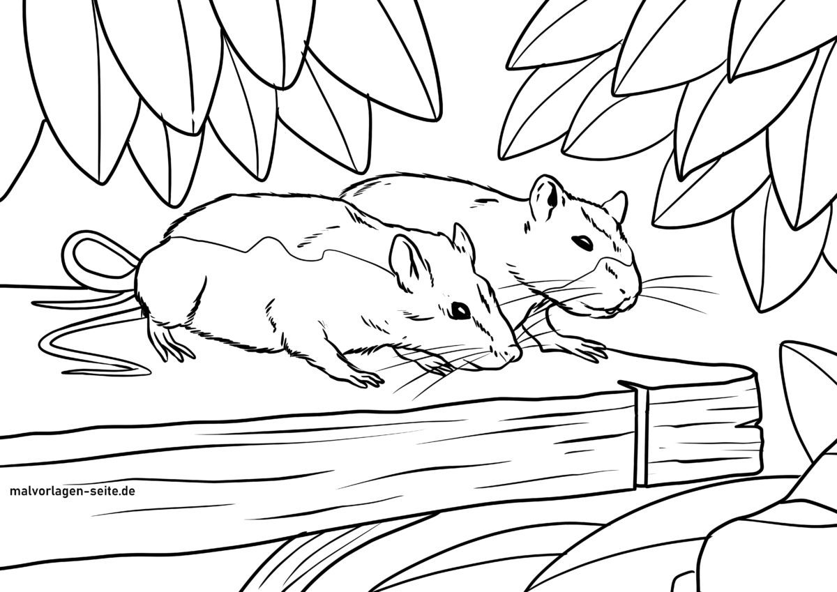 Malvorlage Ratten