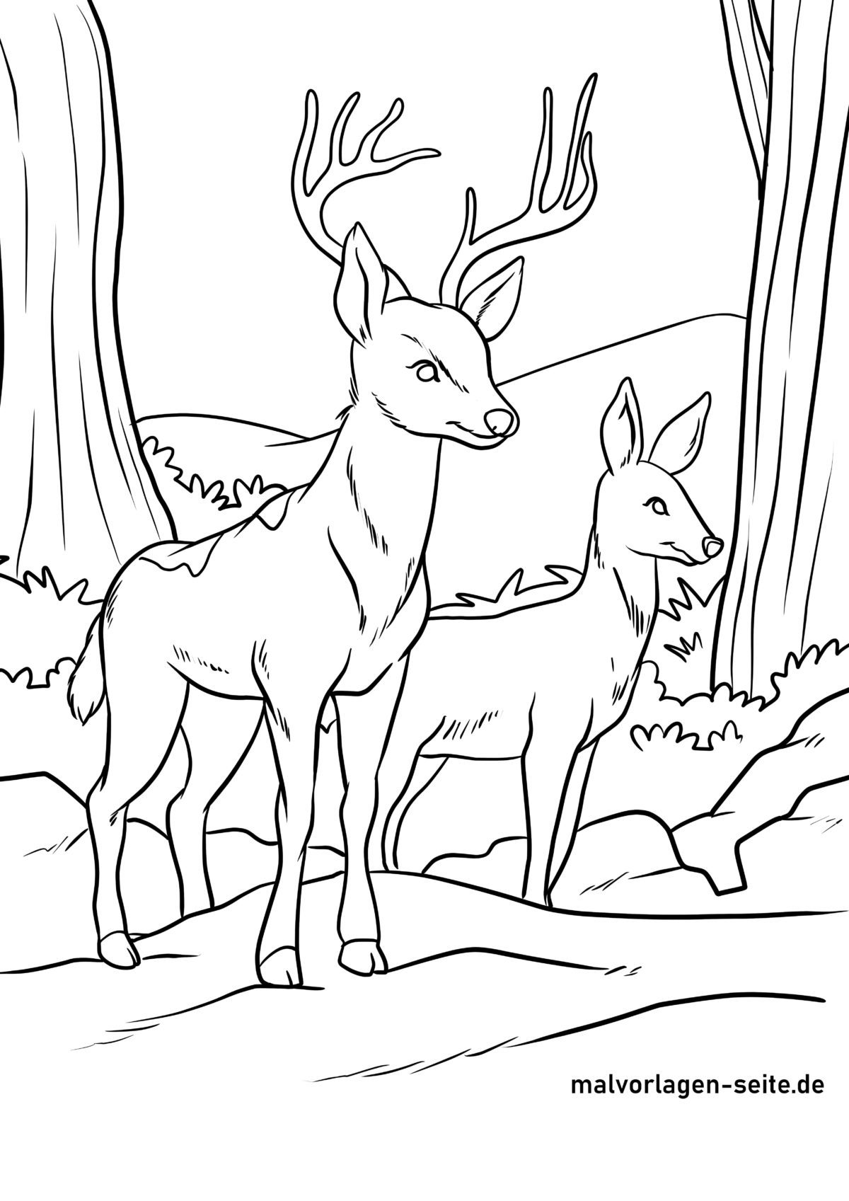 Malvorlage Hirsch und Reh