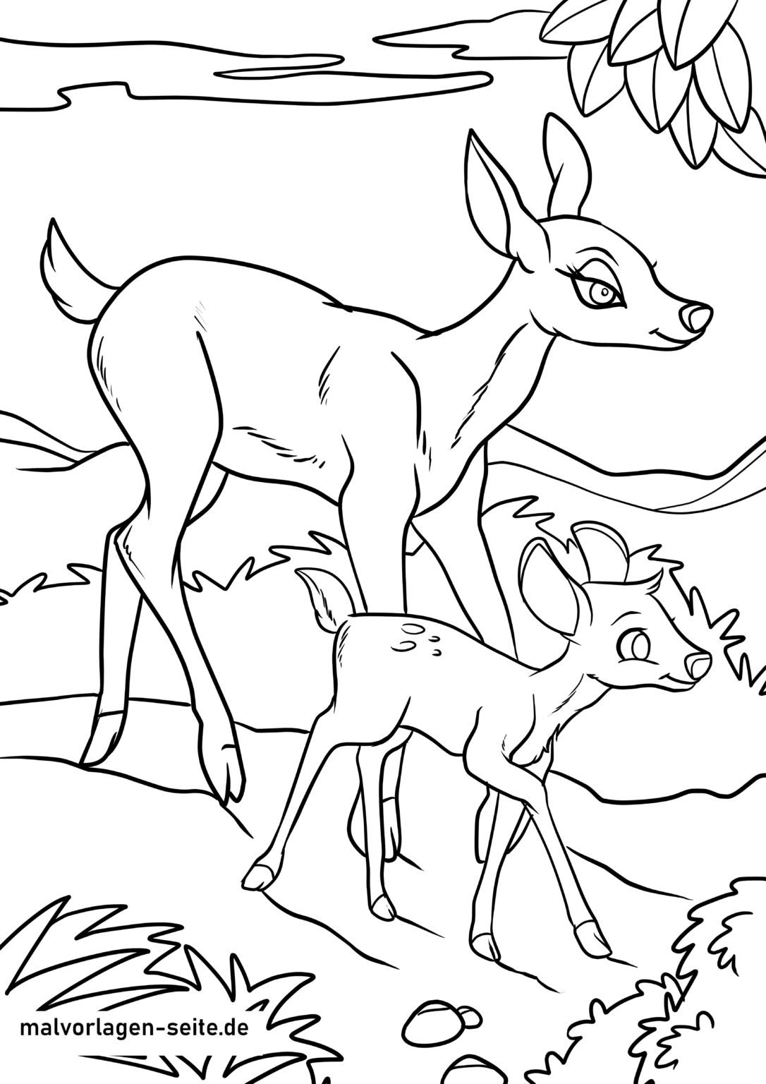 Malvorlage Waldtiere | Tiere im Wald | Ausmalbild kostenlos herunterladen