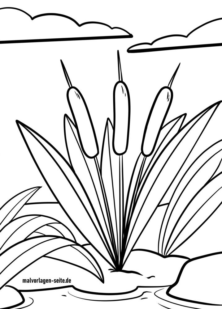 Malvorlage Schilf