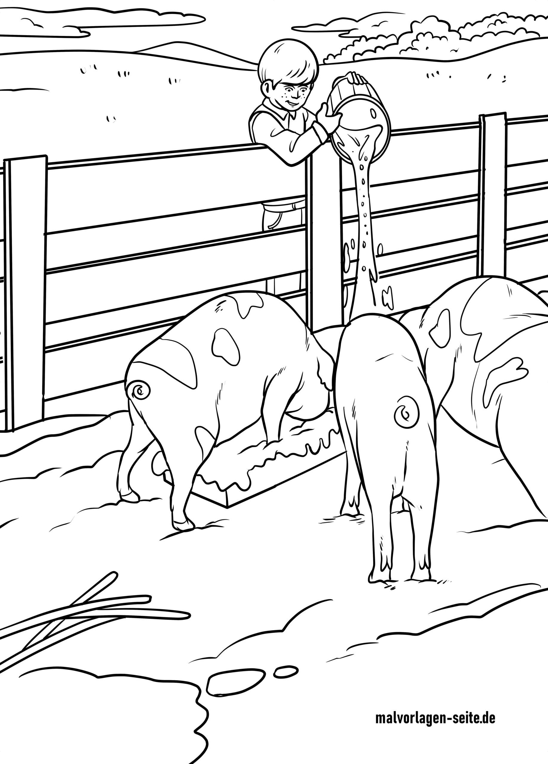 Malvorlage Tiere füttern auf dem Bauernhof