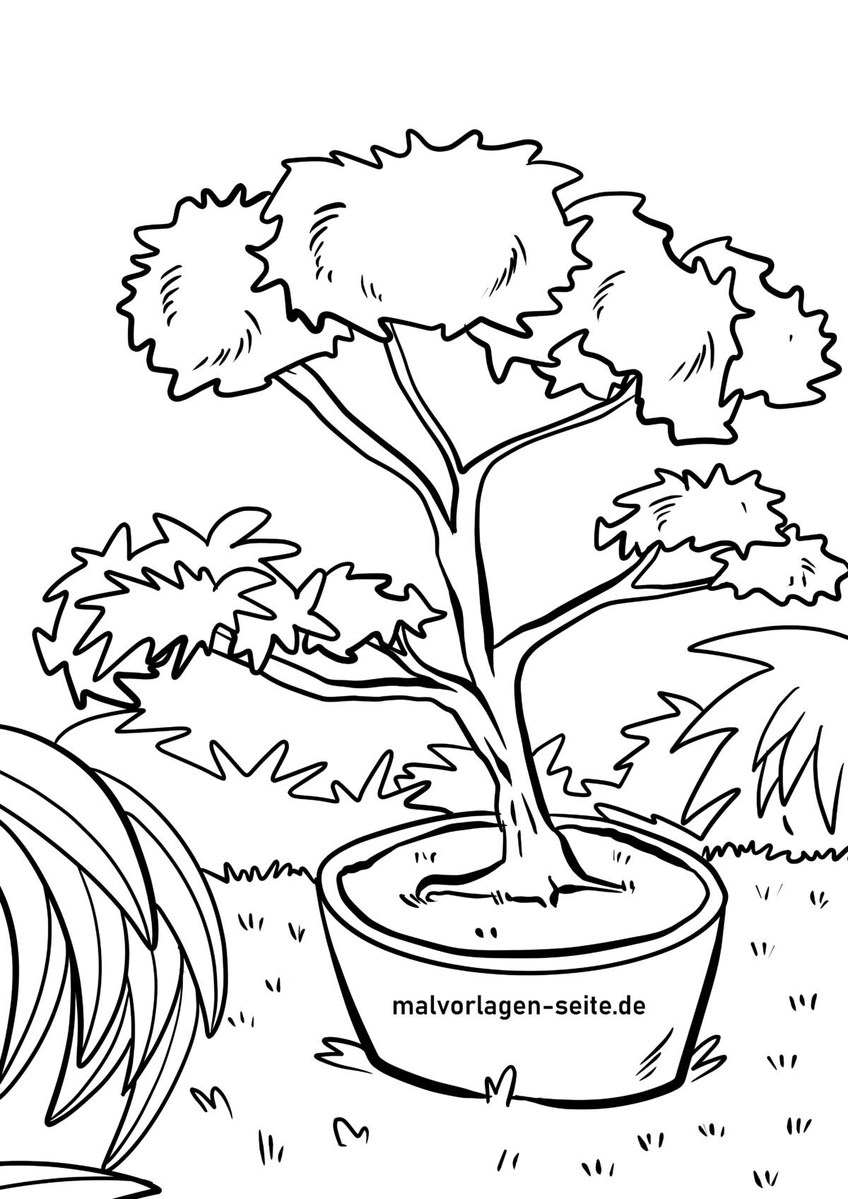 Malvorlage Bonsai Baum