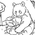 Malvorlage Panda