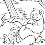 Malvorlage Pandabären