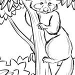 Malvorlage Waschbär